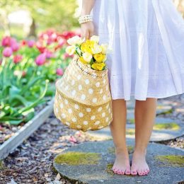 spring-2298279_960_720